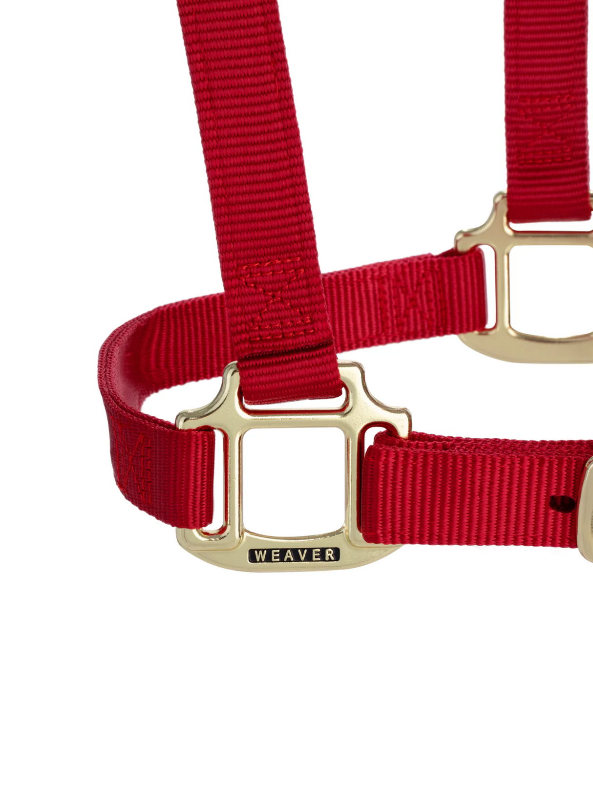 Licou en Nylon Original Ajustable