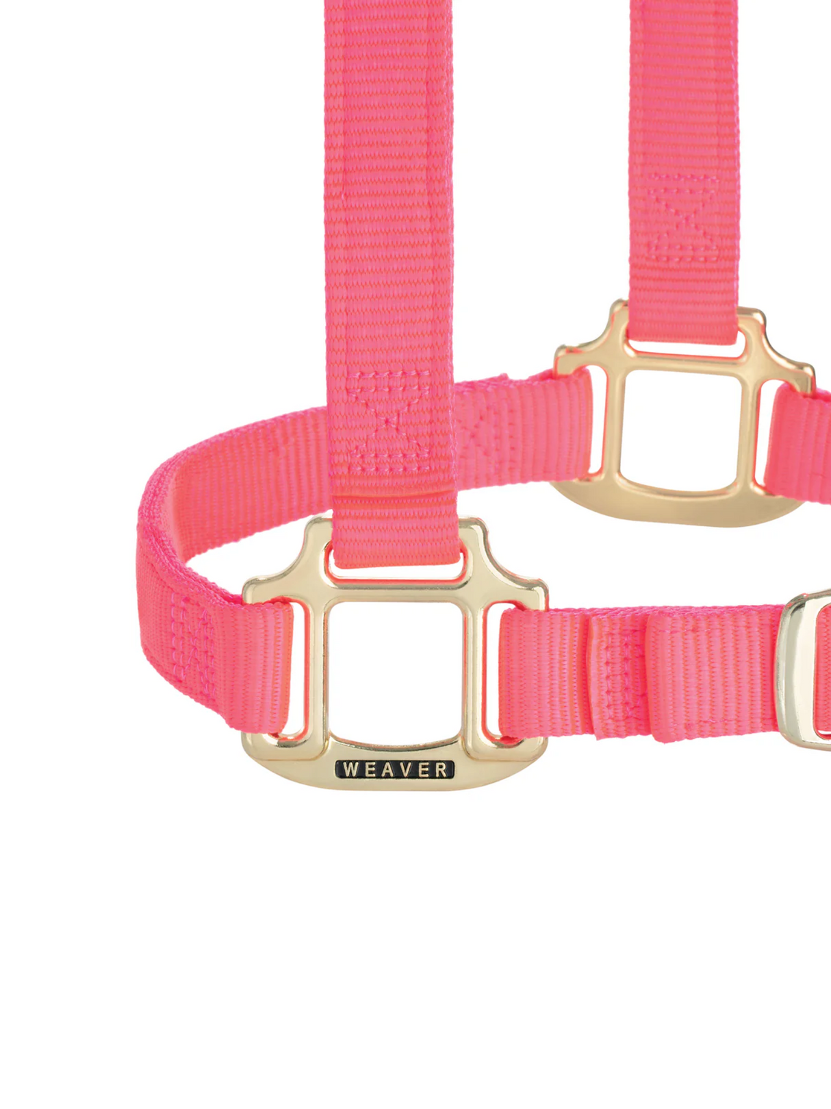 Licou en Nylon Original Ajustable