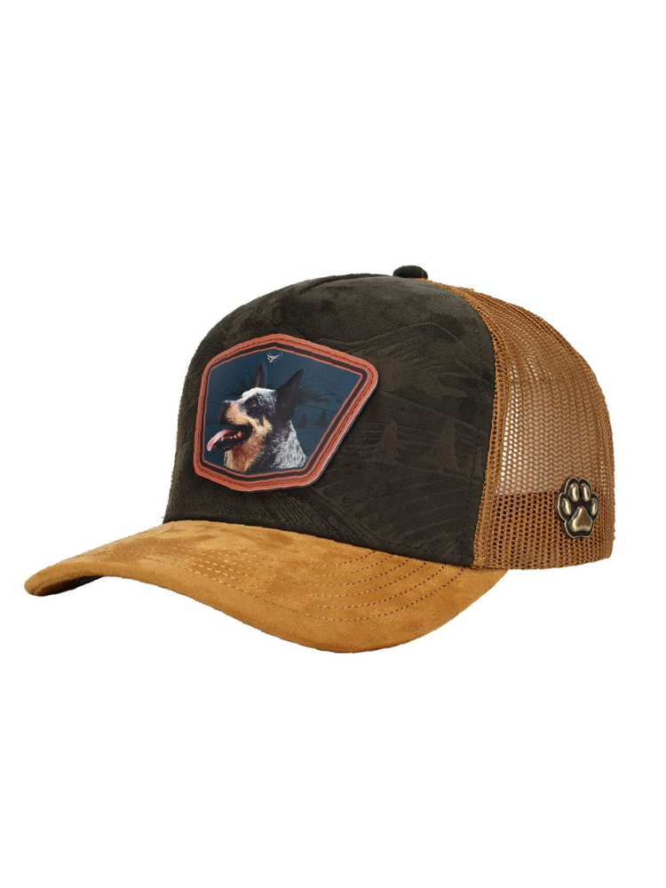 Casquette Chien Paysage Montagne