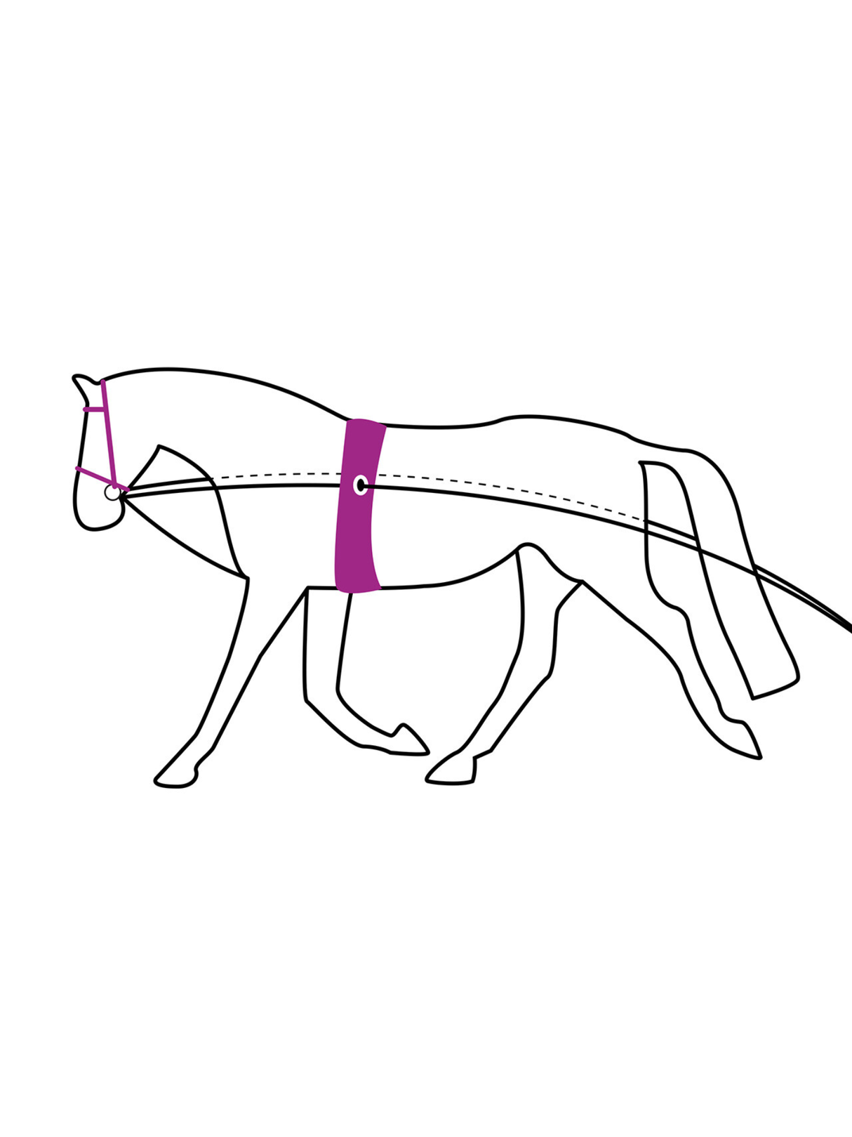 Double longe reins