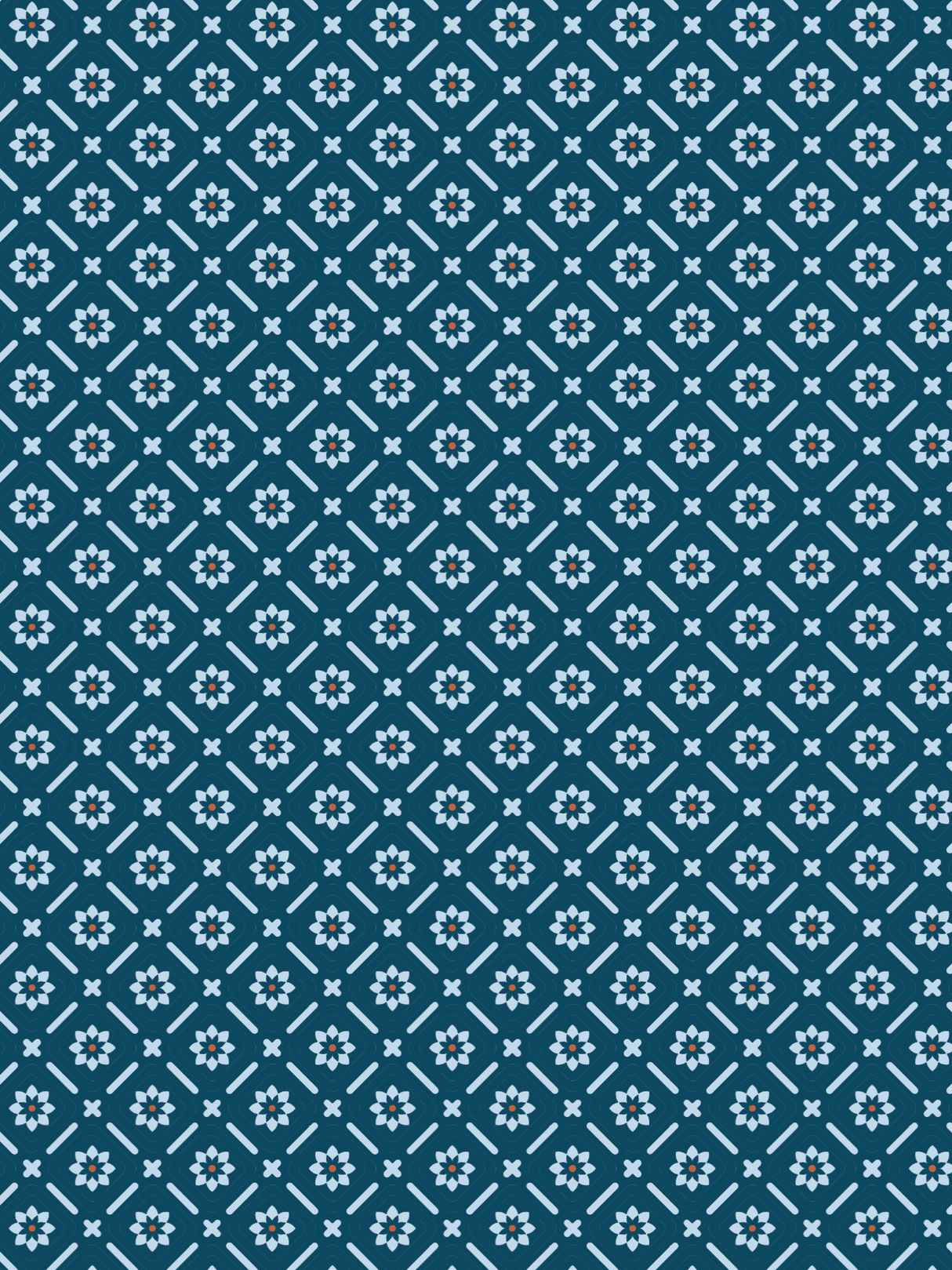 Chemise Western Jordi Fitted Poseidon - Homme