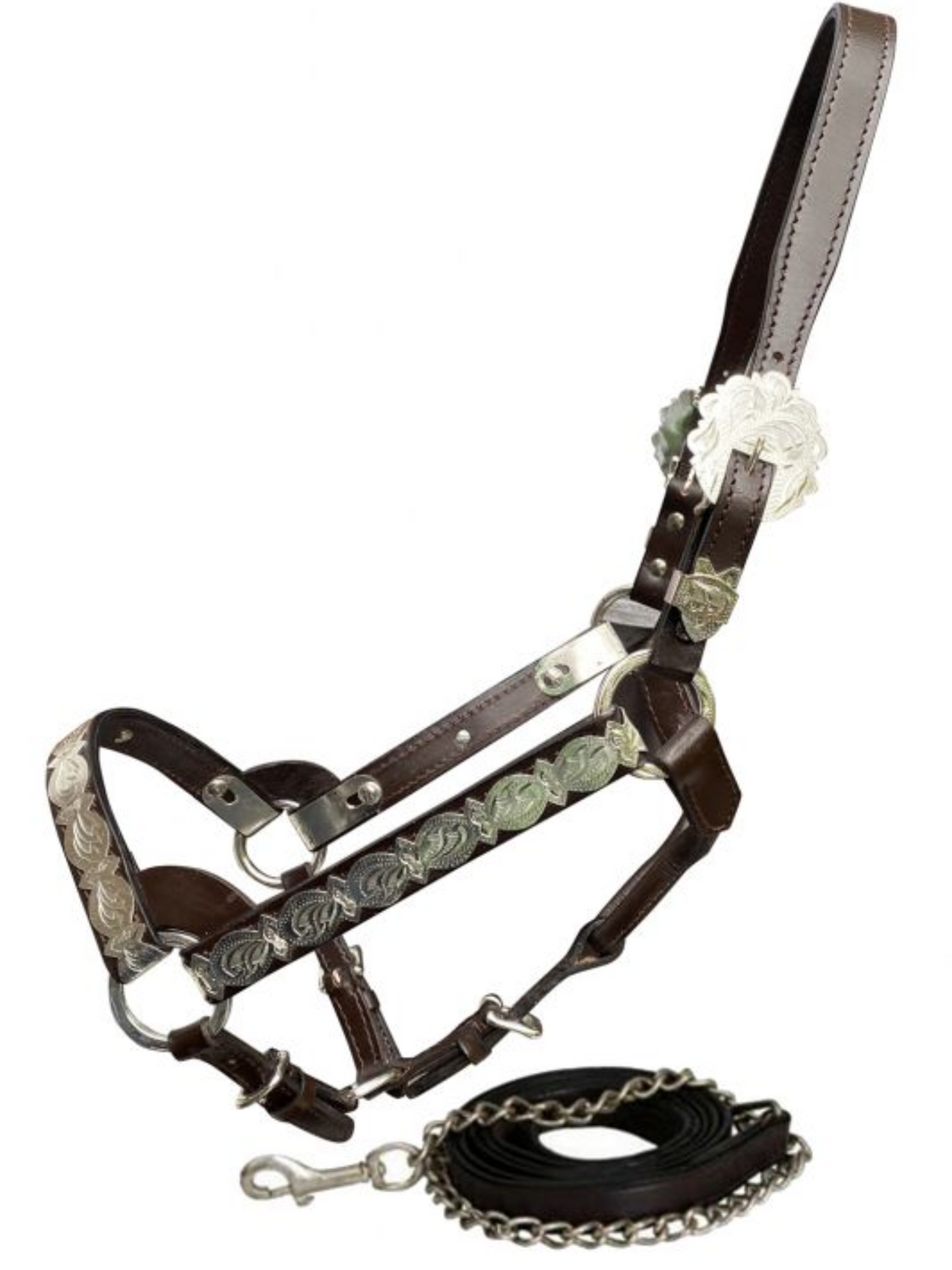 Licou de show Silver Bar