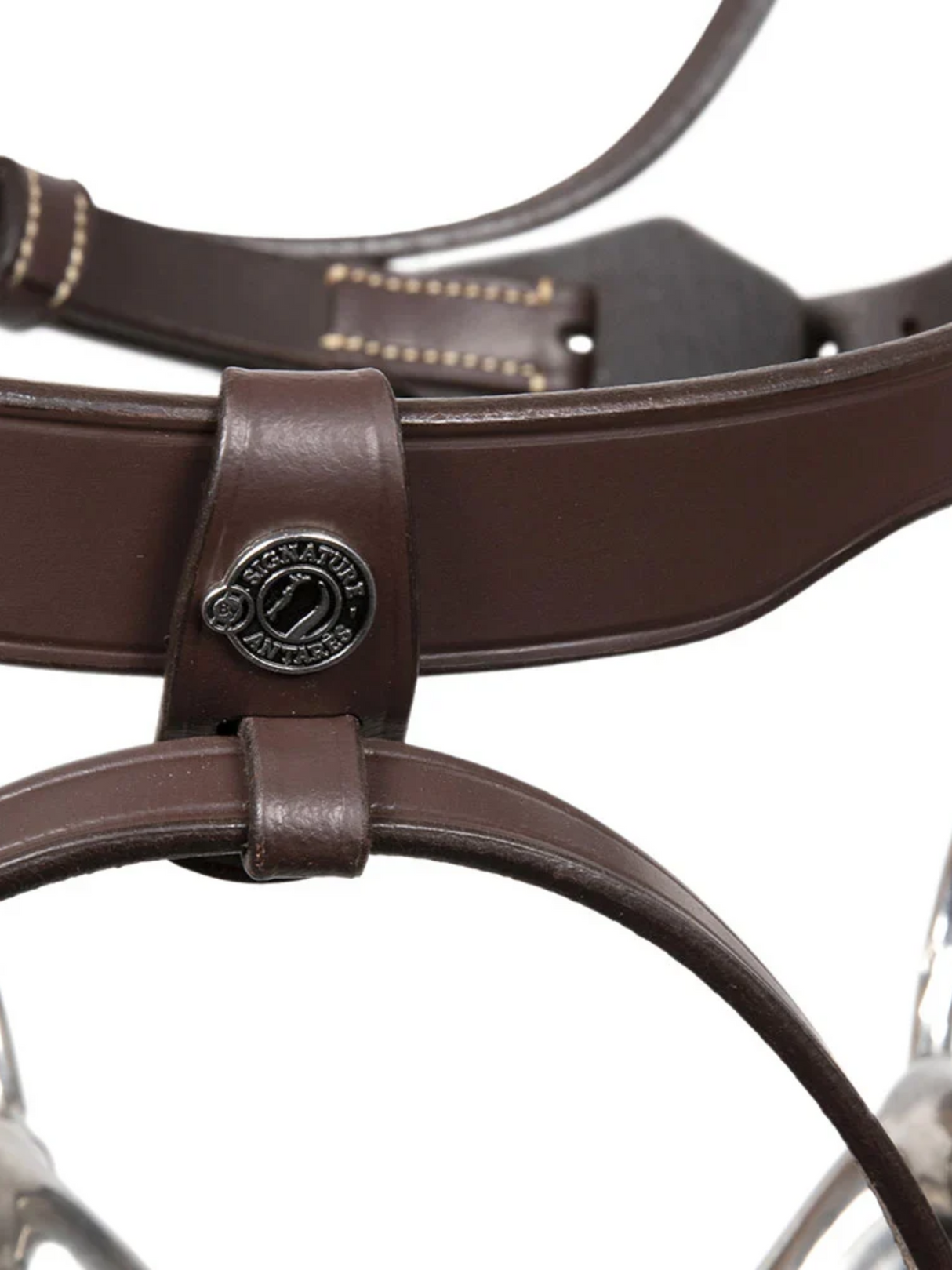 Signature Classic Training Bridle with Flash
