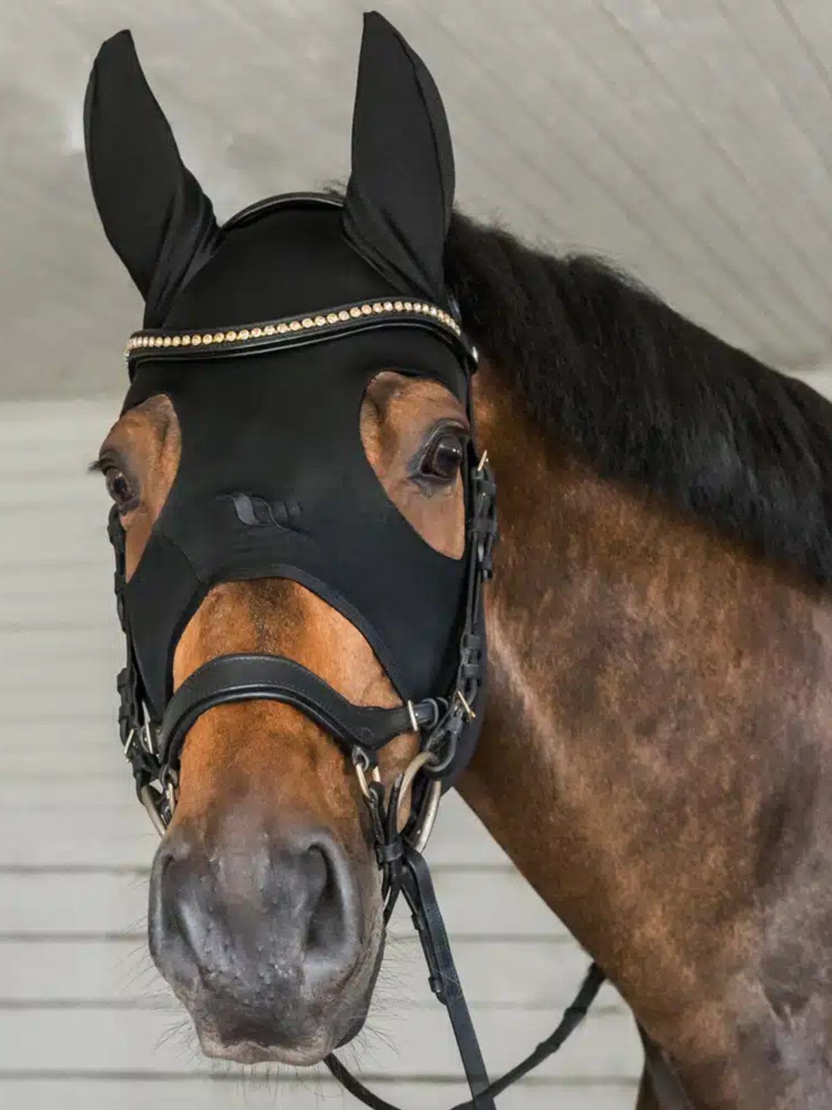 Spirit Soothing Hood Mask with Ears