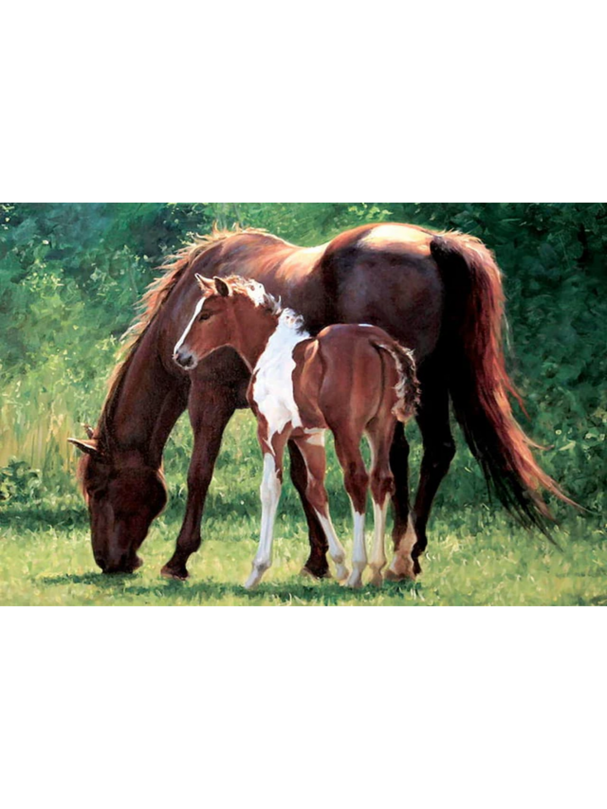 Evergreen Sun Splashed Canvas 24" x 36"