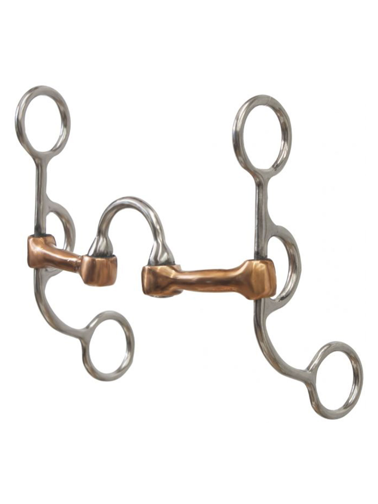 Correctional medium port Western bit