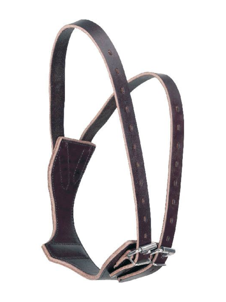 Collier Anti-Rot en cuir