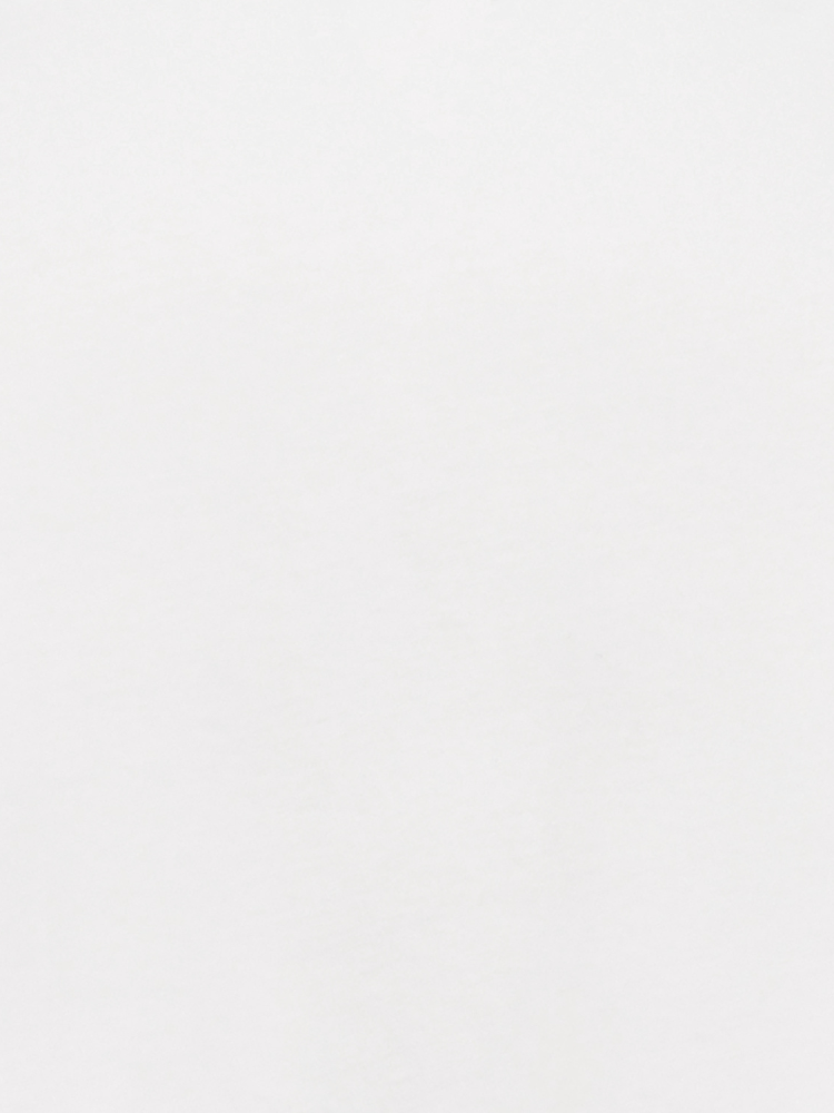 Women's Aztec Longhorn T-Shirt