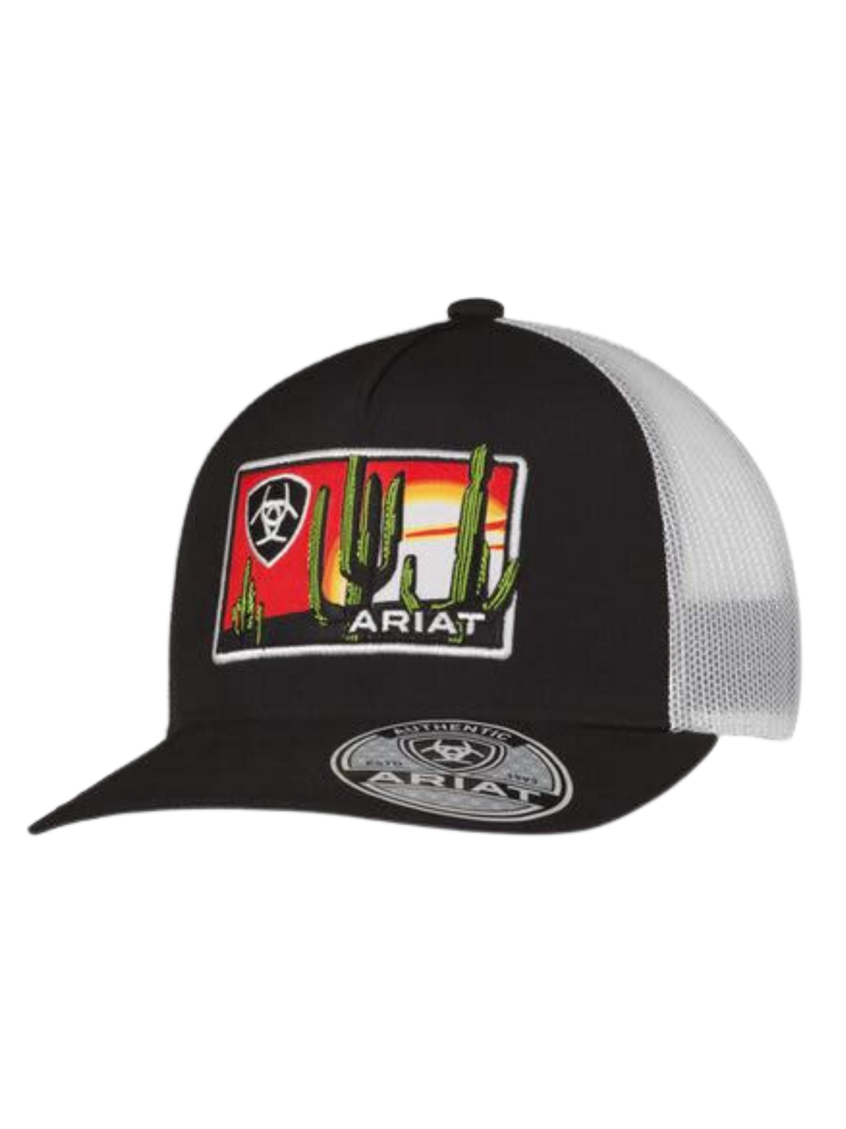 Cap with Desert Scene Patch