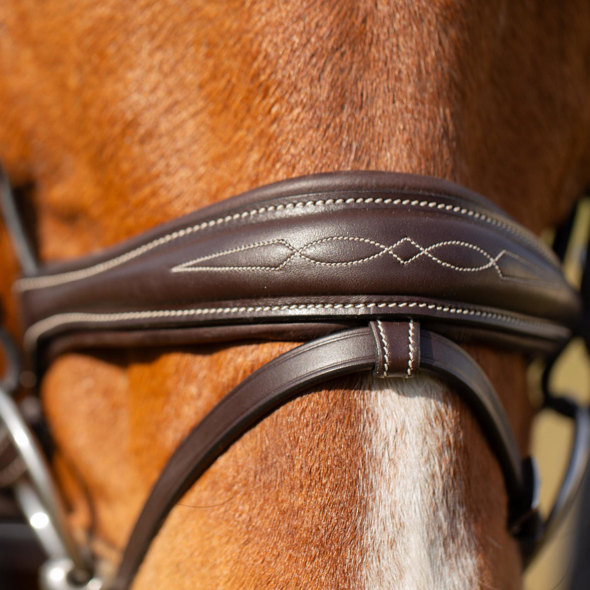 Classic Valkyrie Anatomical Bridle with Flash