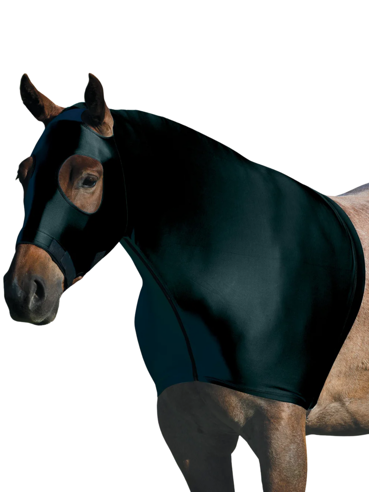 Protège avant-main en lycra CoolAid®