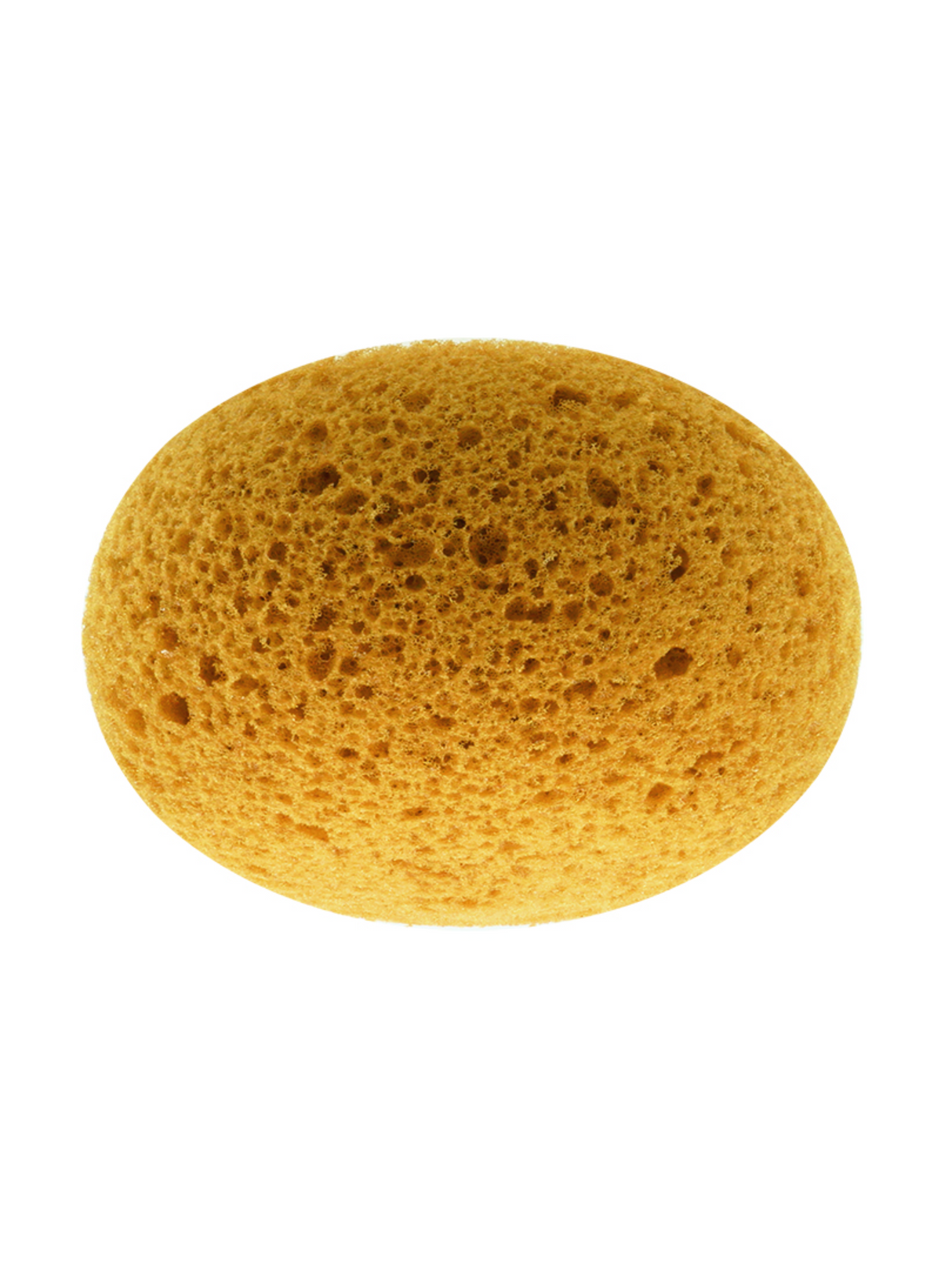 Éponge Hydra 4.5"