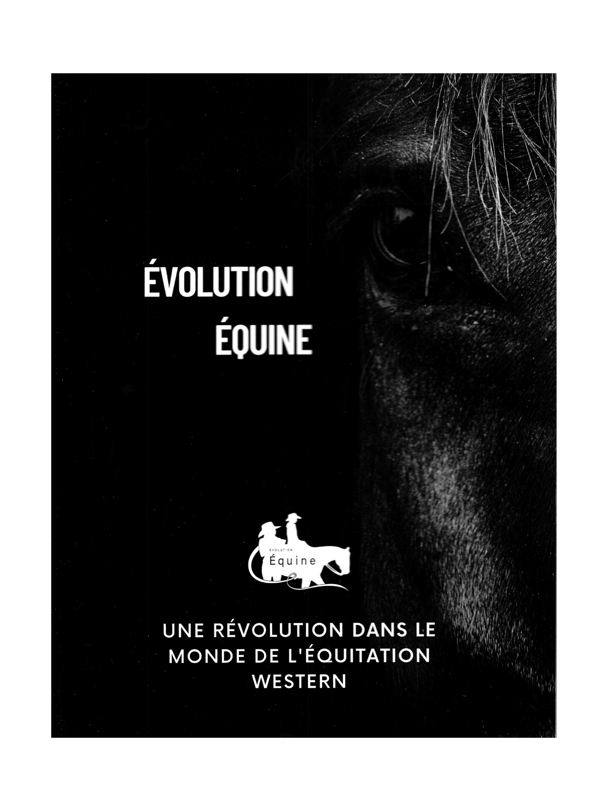 Manuel de formation Évolution Équine