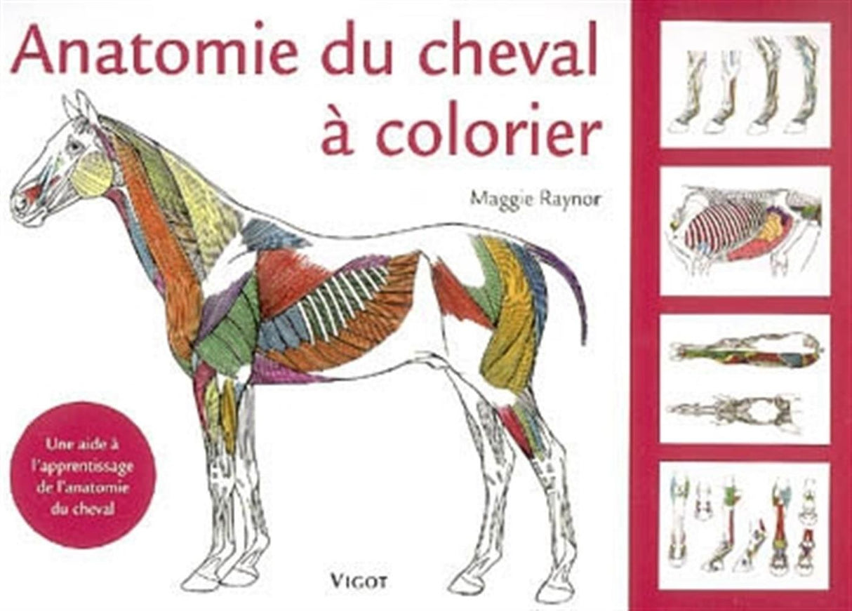 Anatomie du cheval à colorier - M. RAYNOR