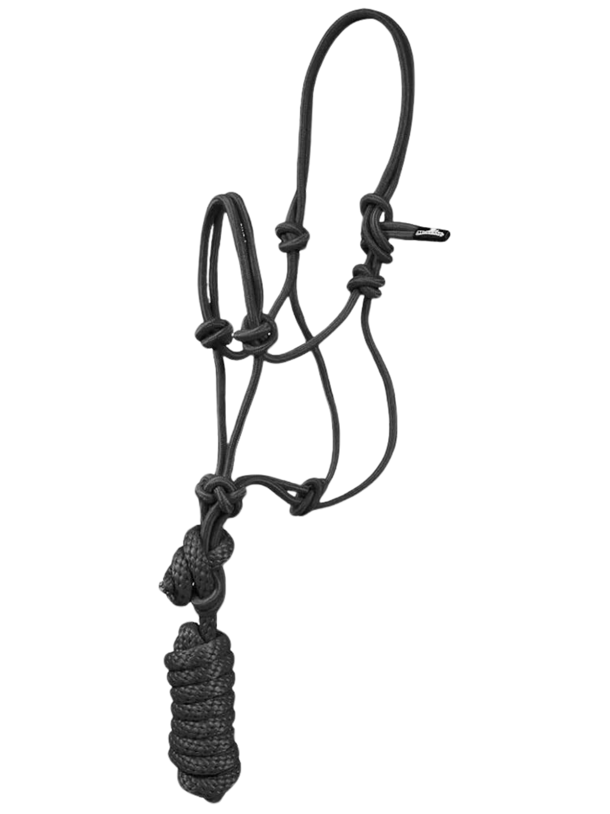 Licou de corde avec laisse - poney