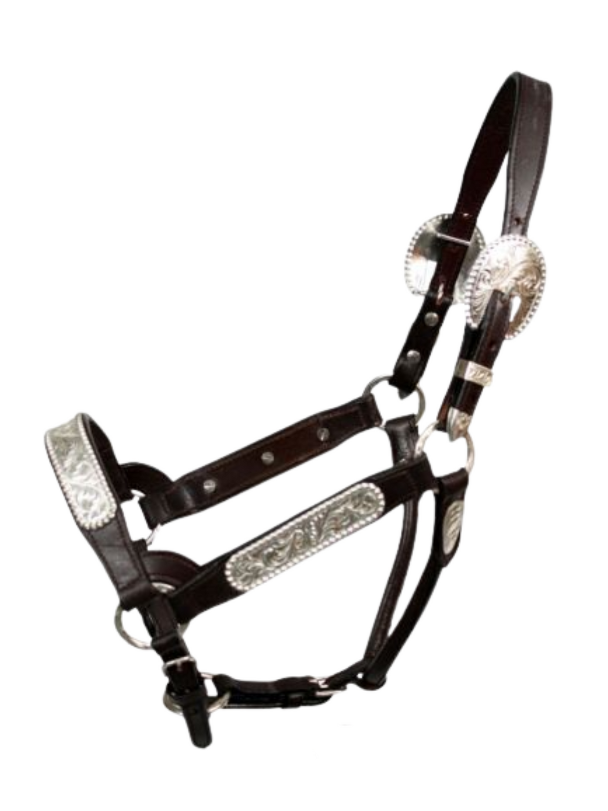 Leather Show Halter with Engraved Silver