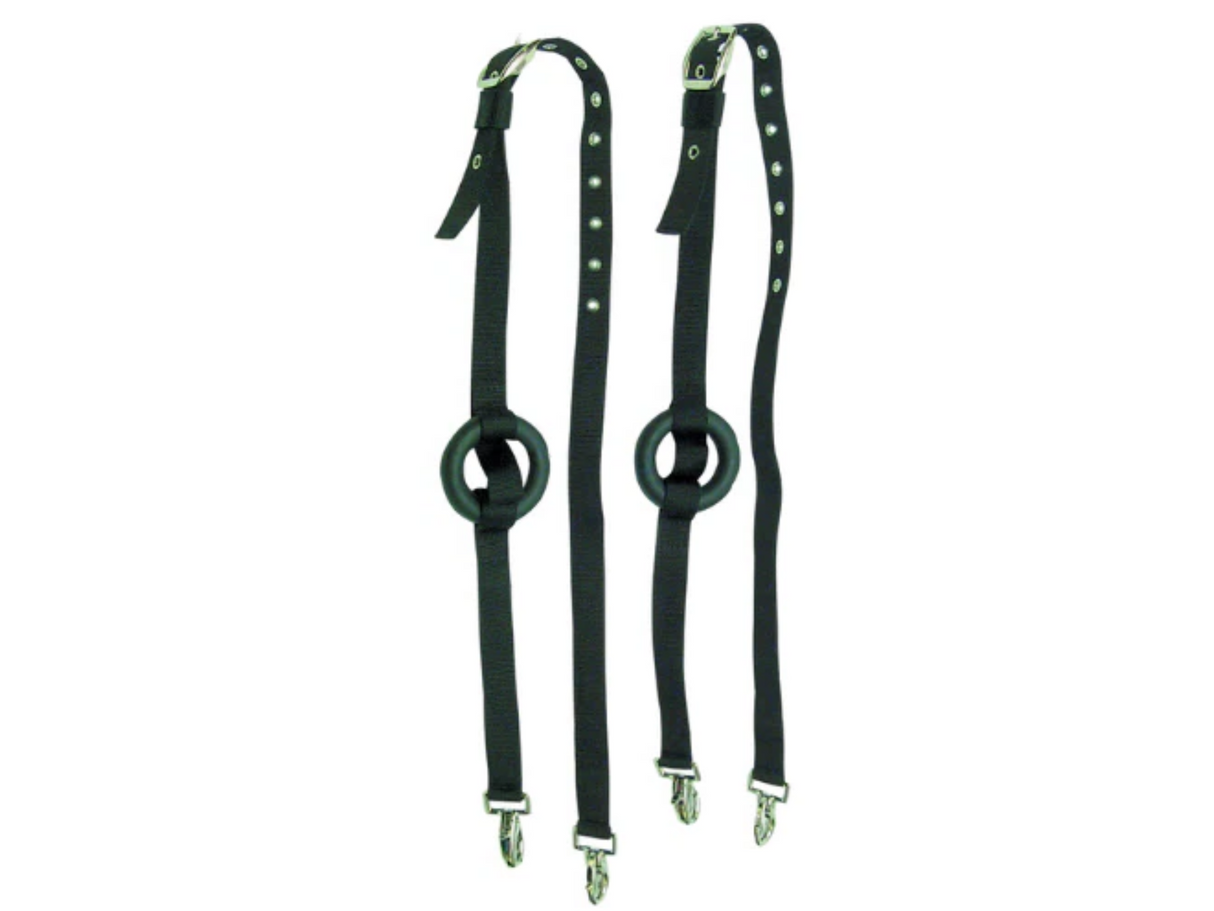 Elastic donut rein for the lunge