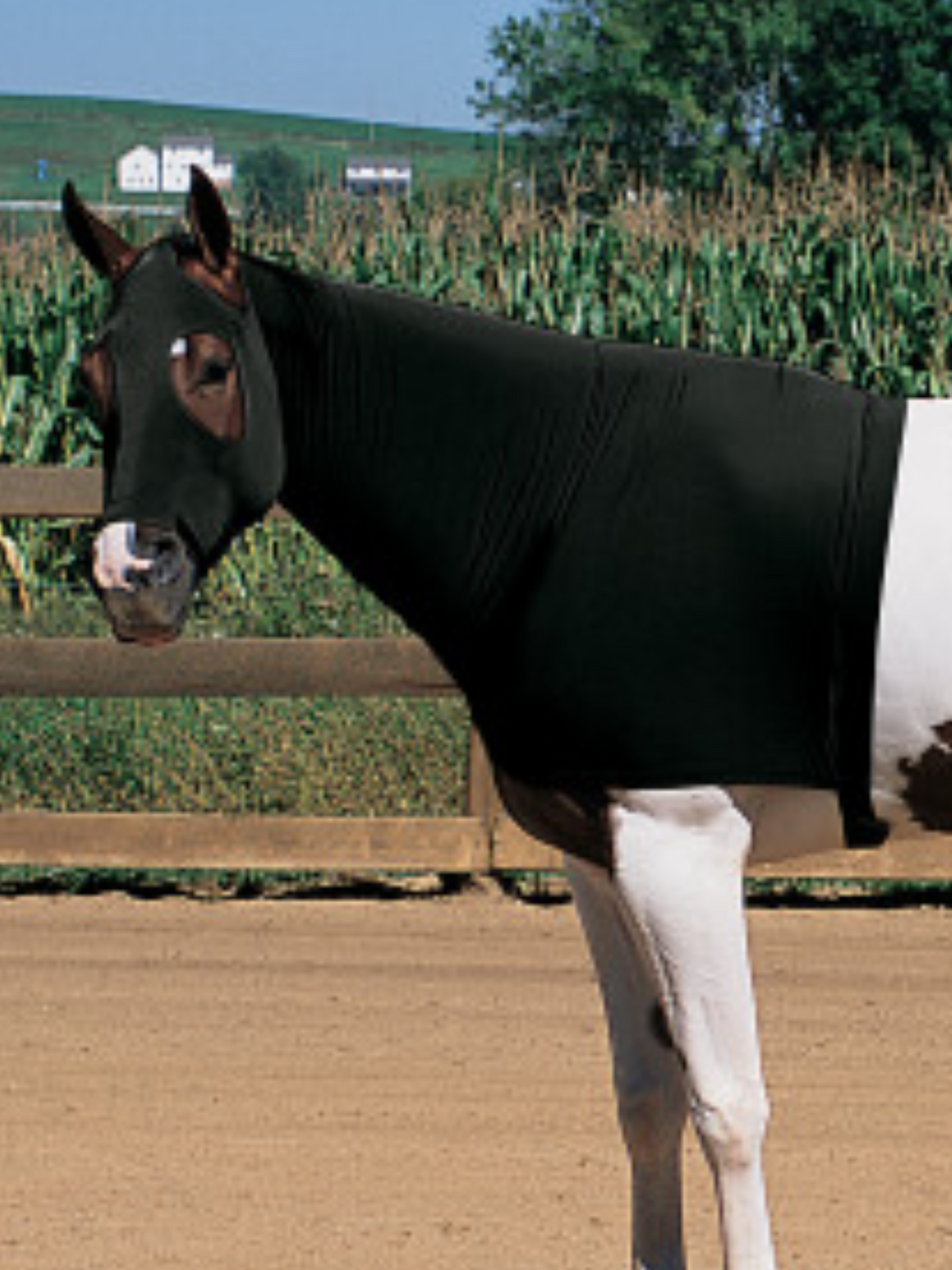 Protection d'Avant Main Hood en lycra