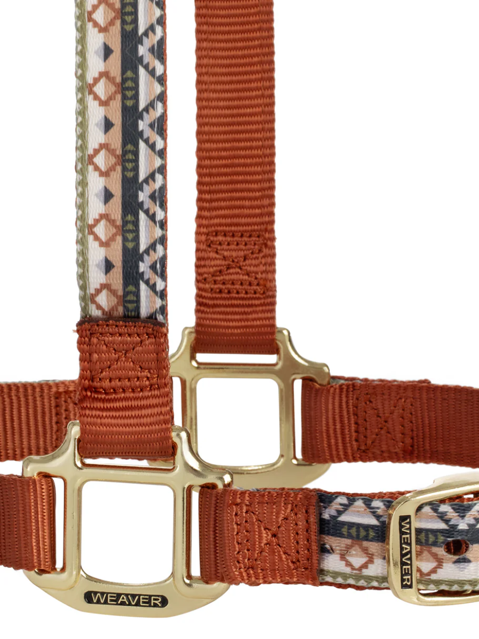 Licou de Nylon avec motifs