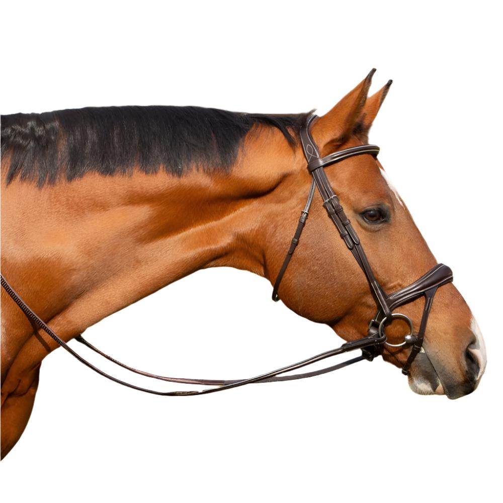 Classic Valkyrie Alternating Flash Bridle