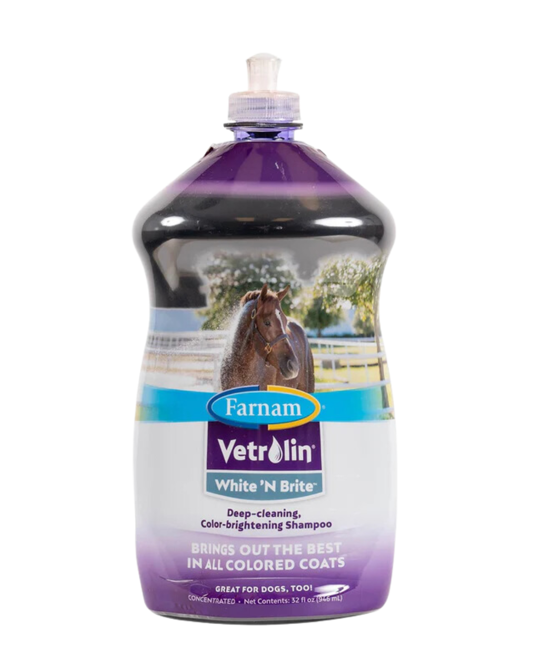 White'n Brite Shampoo