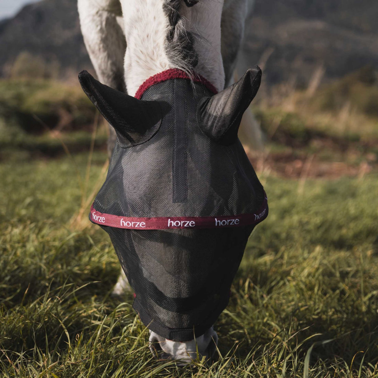 Metal frame fly mask