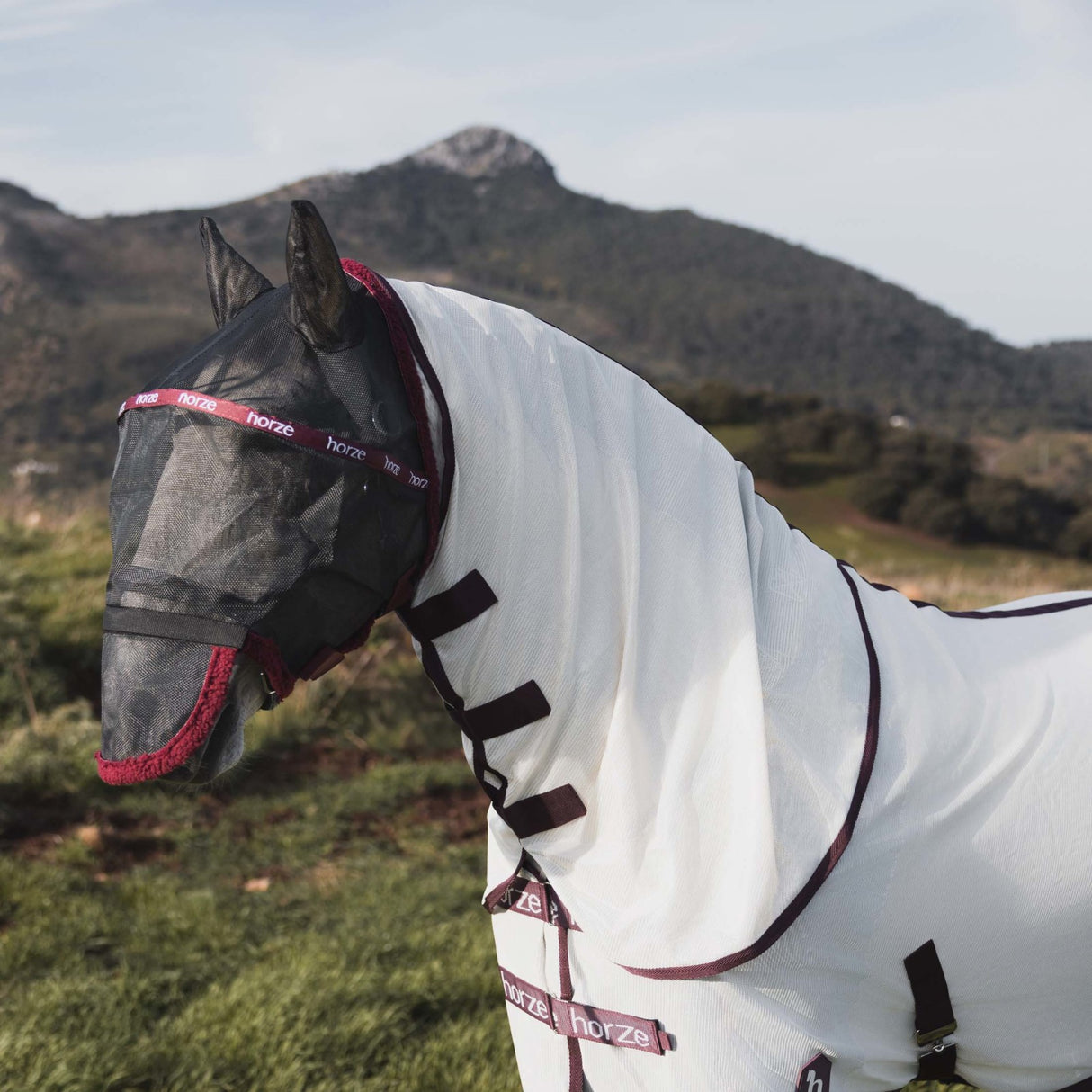Metal frame fly mask