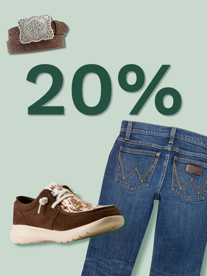20% 