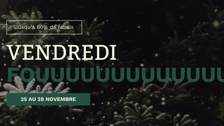 Vendredi Fou 2025 - 30%