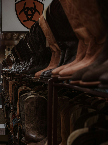 Bottes Western