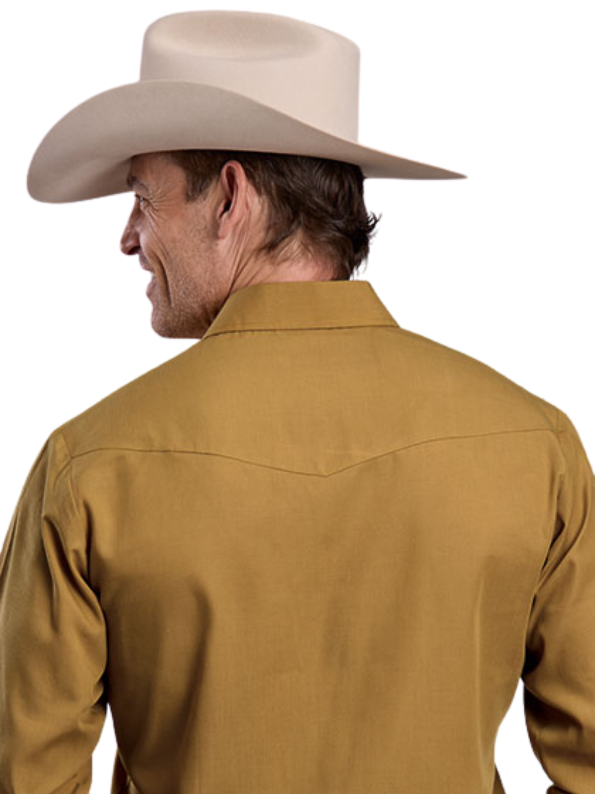 Chemise Western Camel Brown - Homme
