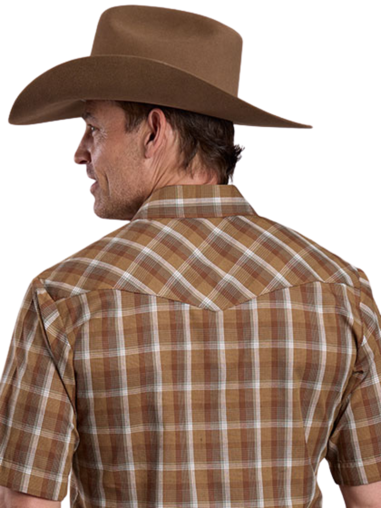 Chemise Western Brun/Sage à manches courtes - Homme