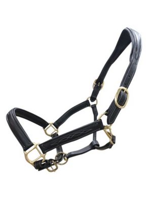 Licou en cuir Softy anatomique