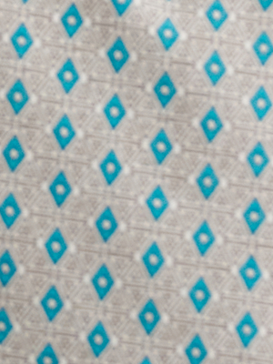 Chemise western snaps Logo Peacock - Homme