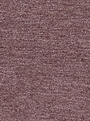 T-Shirt Planteau French Desert - Femme