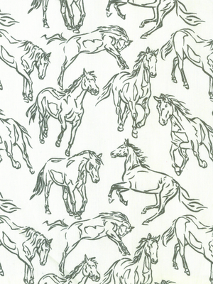 Chemise Western George Strait Walnut - Homme