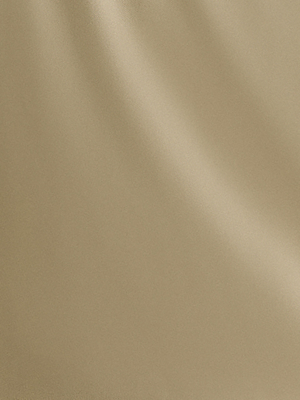 Chemise Western Logo Brune Camo - Homme