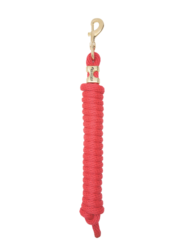 Original leash