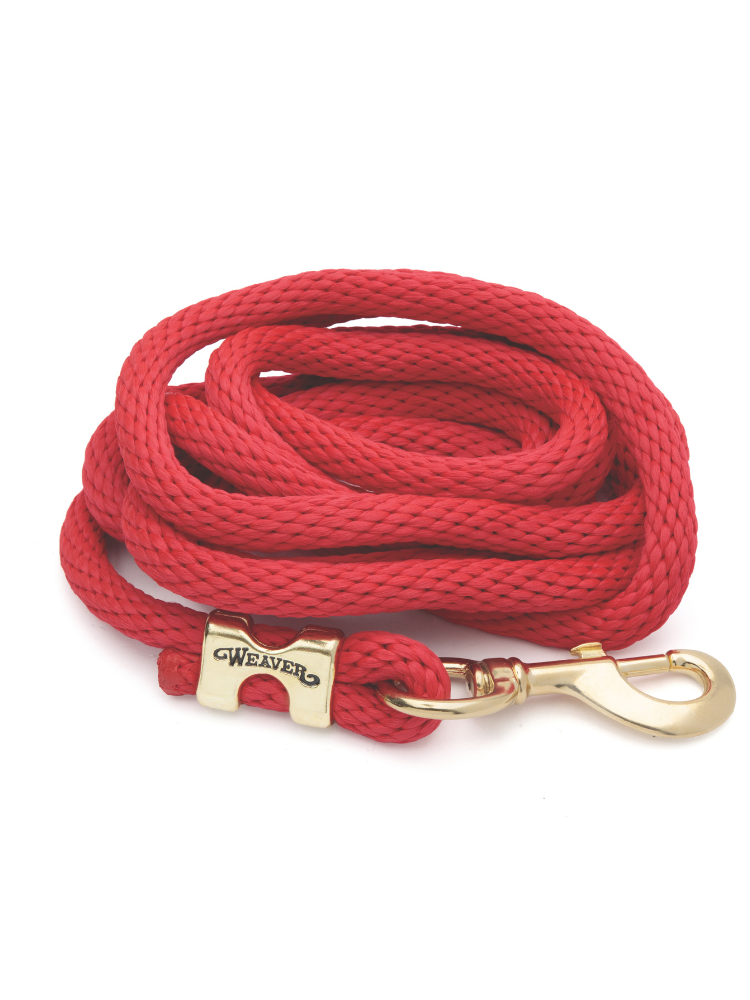 Original leash