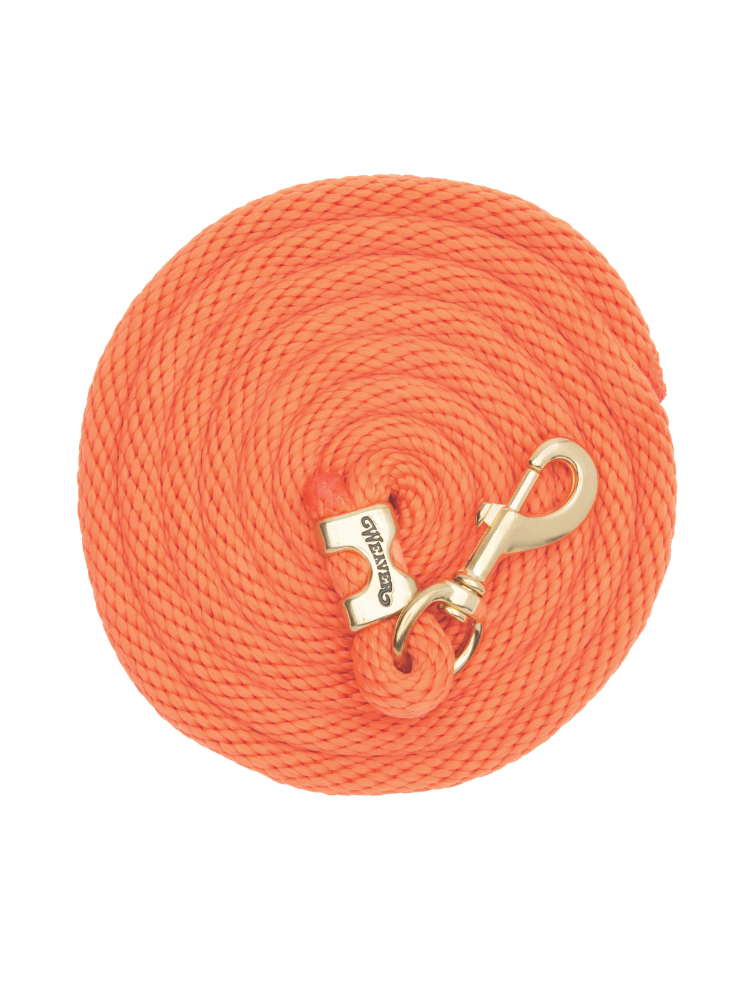Original leash
