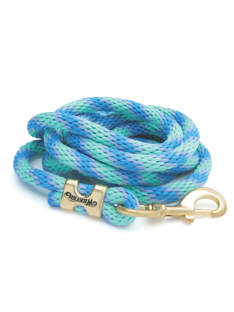 Original leash
