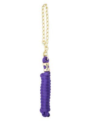 Leash with Chain