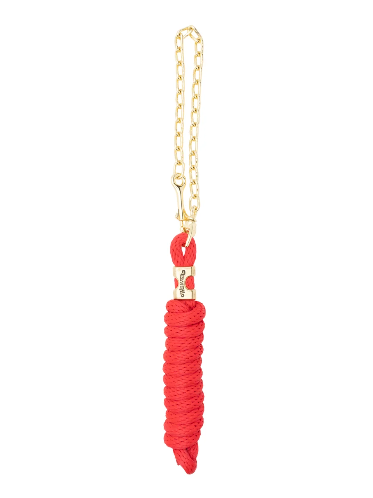 Leash with Chain
