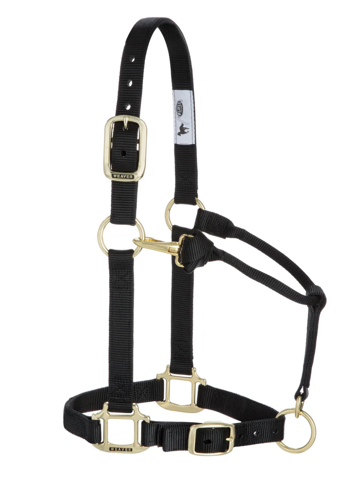 Licou de nylon Yearling