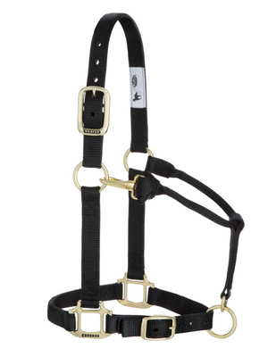 Licou de nylon Yearling