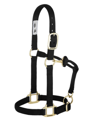 Licou de nylon Yearling