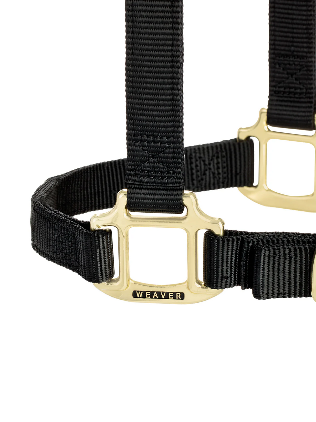 Licou de nylon Yearling