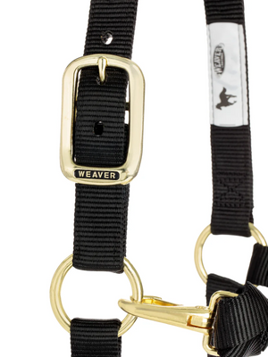 Licou de nylon Yearling