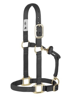 Licou en Nylon Original Ajustable