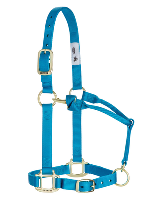 Licou en Nylon Original Ajustable